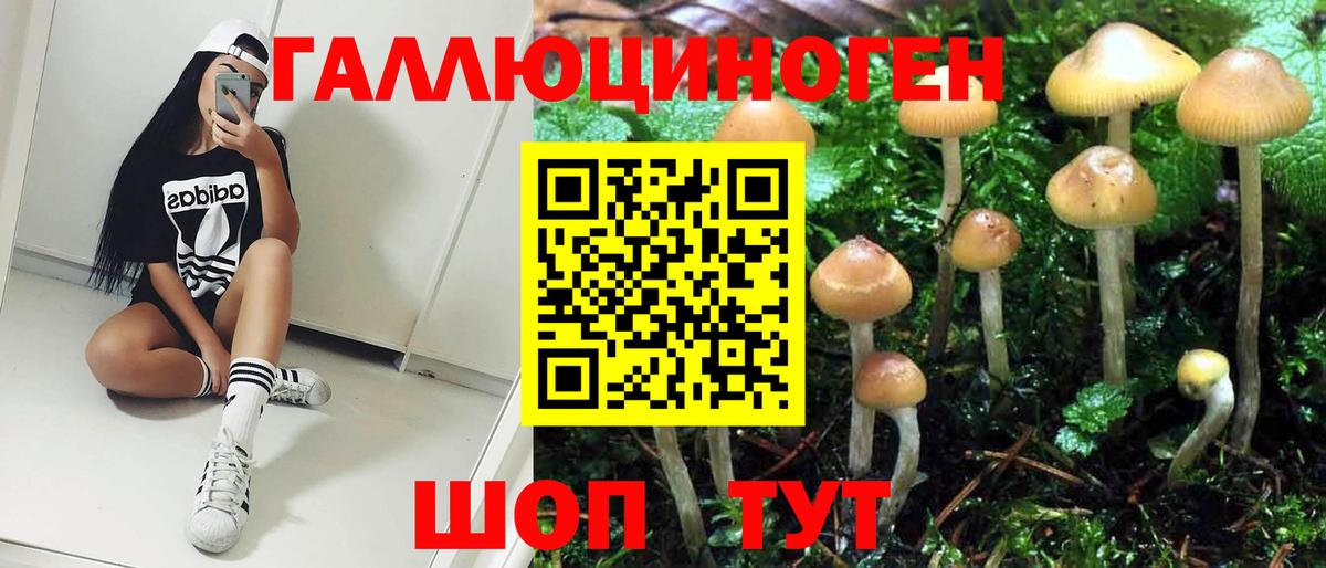 Великий Новгород  Галлюциногенные грибы ЛСД  Псилоцибиновые грибы прущие грибы  Вход с VPN 